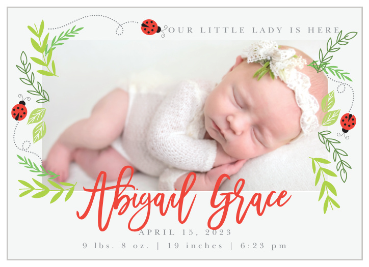 Sweet Ladybugs and greenery create a playful frame for your newborn’s photo on the Little Ladybug Birth Announcements.