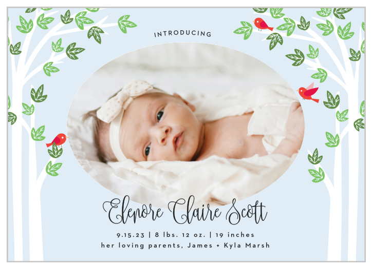 Birds flit around your newborn’s photo on the Enchanted Woodland Birth Announcements. 