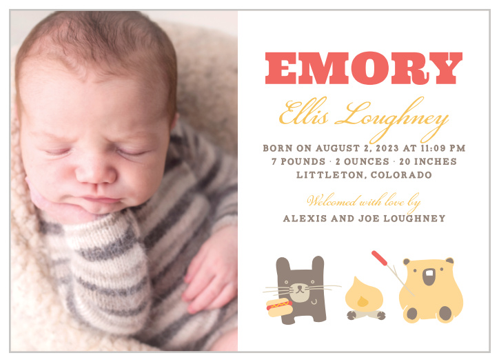 Forest animals roast hotdogs around a campfire on the Forest Animals Birth Announcements. 