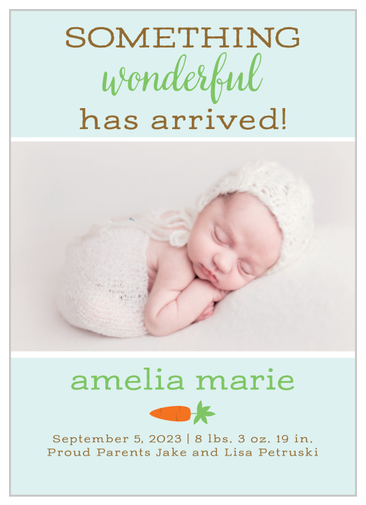 Our stunning Growing Garden Birth Announcements give your friends and family every bit of information they need in an easy to read and easy to love style. Choose a favorite photo of your newborn to decorate the center of the card, then surround it with all of the big details about your little one, written in a combination of swirling script and tasteful type.