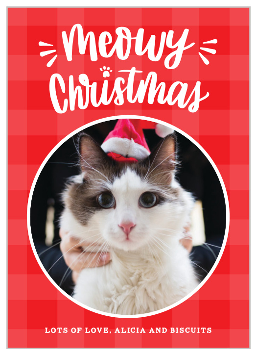Wish your friends and family a "Meowy Christmas" with these darling, cat themed christmas cards!