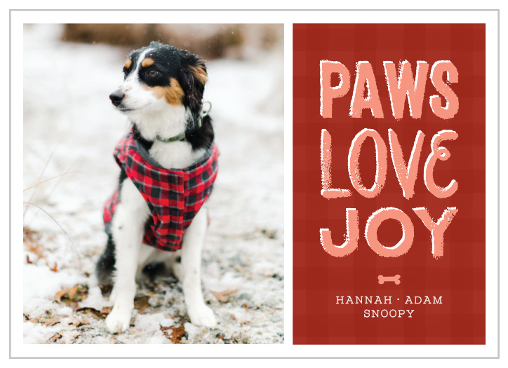 Our Puppy Paws Holiday Cards feature a photo alongside a plaid backdrop that is topped by the greeting, "Paws, Love, Joy".