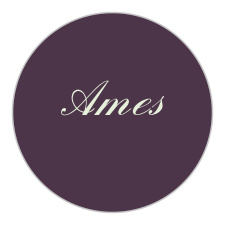 The Golden Rings logo square is the finishing touch to an already beautiful invitation suite.