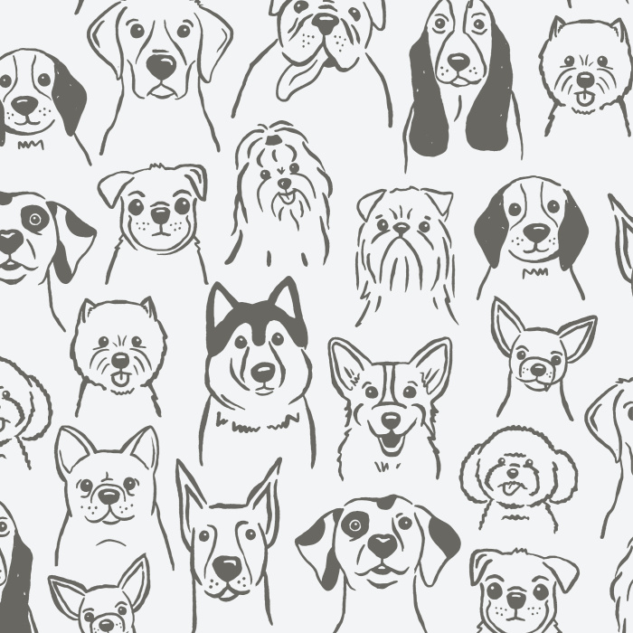 Get your daily dose of oxytocin with our cute and fluffy Puppy Dogs Peel And Stick Removable Wallpaper!