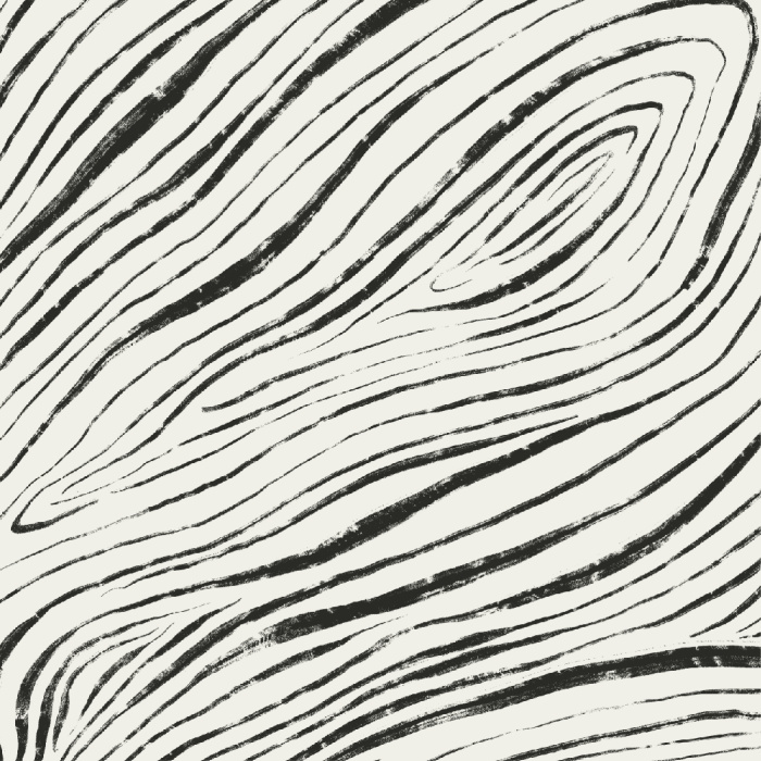 Create a rustic statement on any wall in your home with our Elegant Woodgrain Peel and Stick Wallpaper.