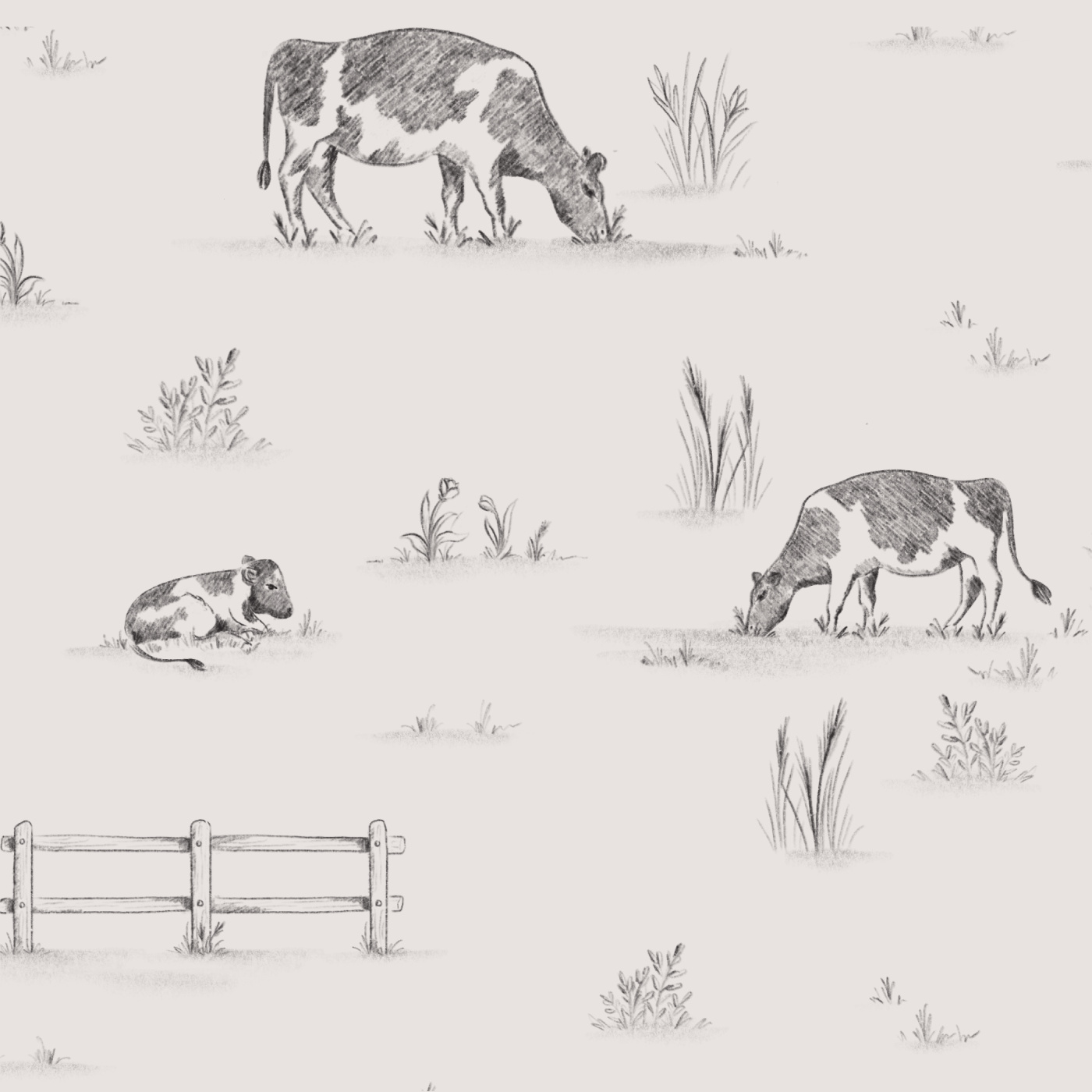 Prairie Cows Wallpaper