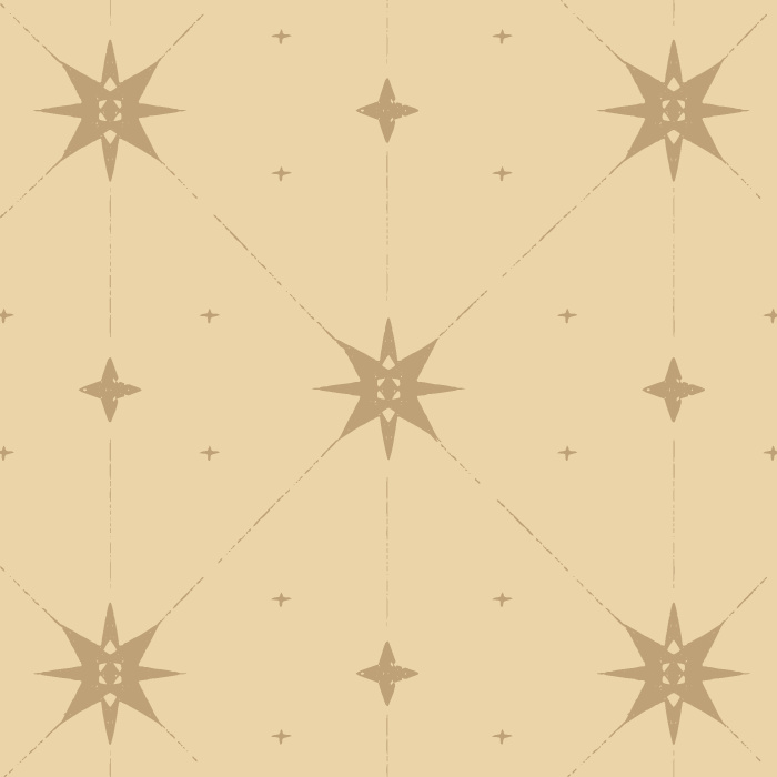 Transform your home with our Mystic Starlight Peel and Stick Wallpaper.