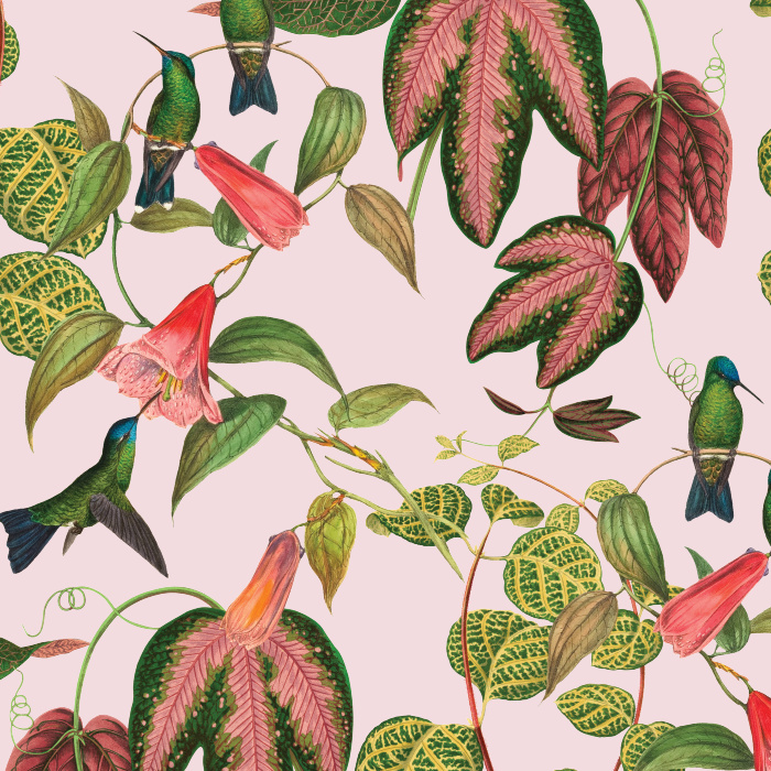 Create a stunning space with our Exotic Hummingbird Peel and Stick Removable Wallpaper.