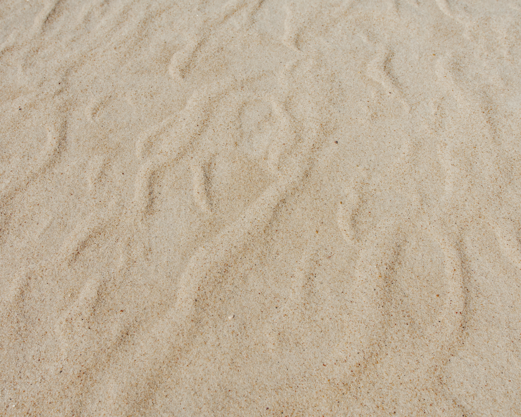 Warm Sand Photo Mural