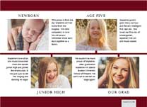 Image for Timeline option